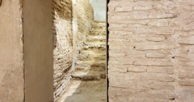 El Celler — la bodega más antigua de Valencia El Celler — la bodega más antigua de Valencia