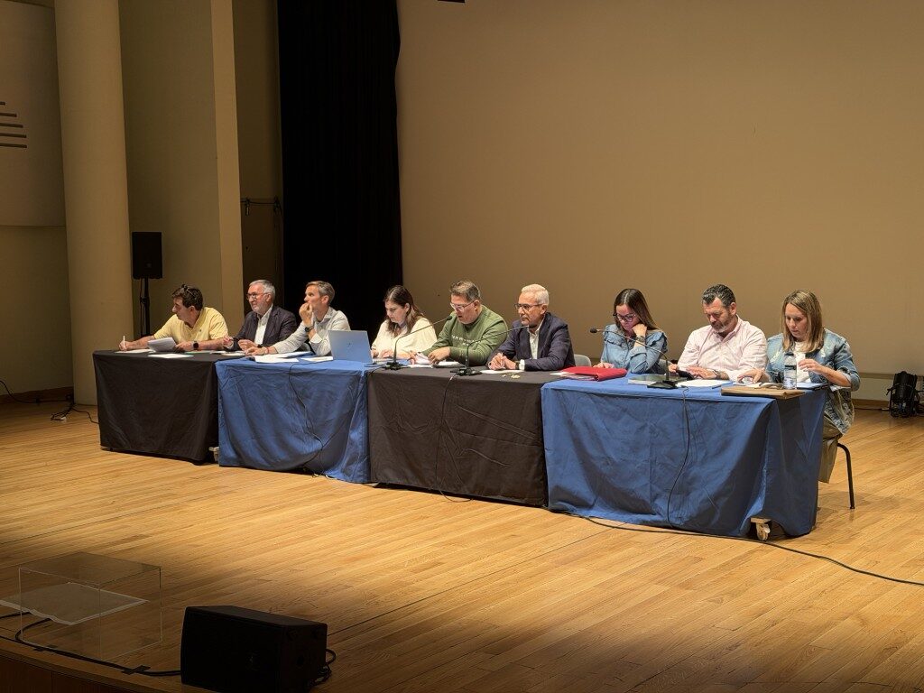 Valencia aprueba las normas de elección de las Falleras Mayores de 2027 y actualiza el baremo de los monumentos 8 Asamblea de presidentes y presidentes de falla 1 Mediana rotated