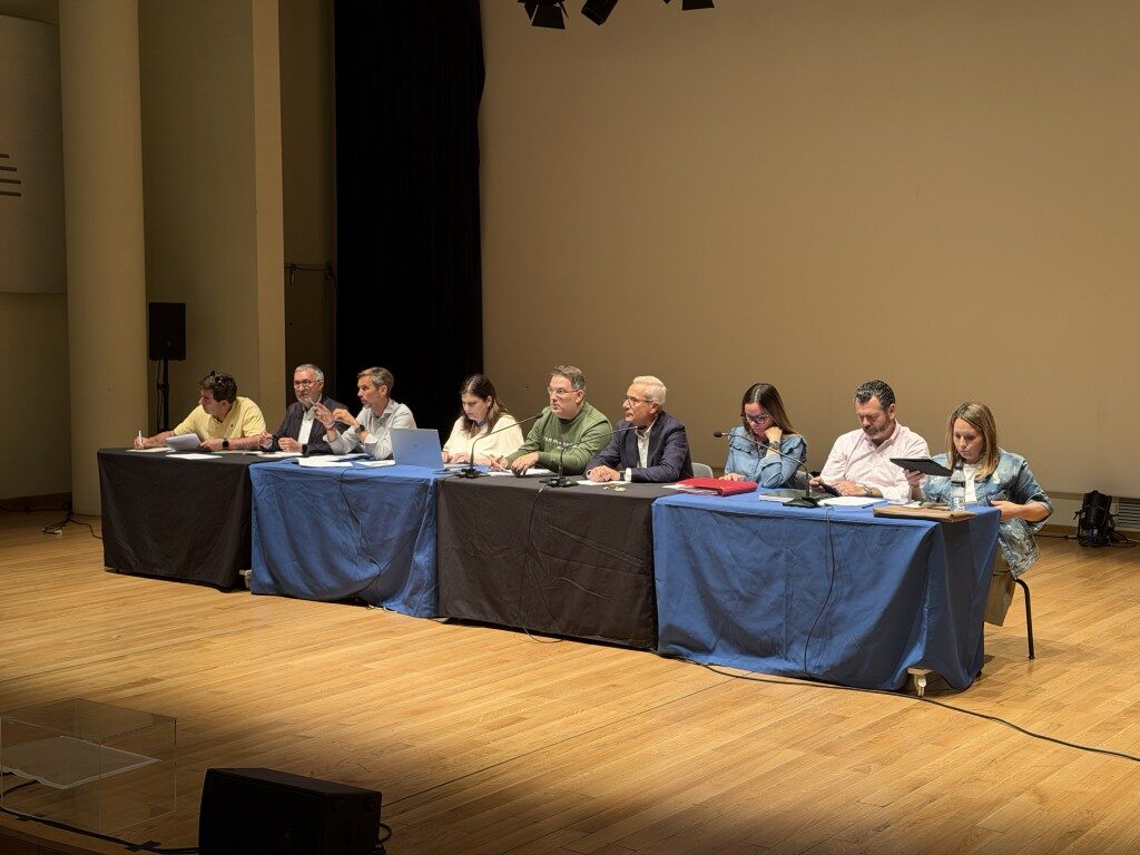 Valencia aprueba las normas de elección de las Falleras Mayores de 2027 y actualiza el baremo de los monumentos 6 Asamblea de presidentes y presidentes de falla 8 Mediana rotated